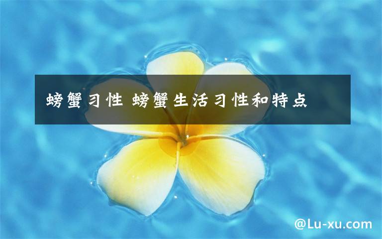 螃蟹习性 螃蟹生活习性和特点