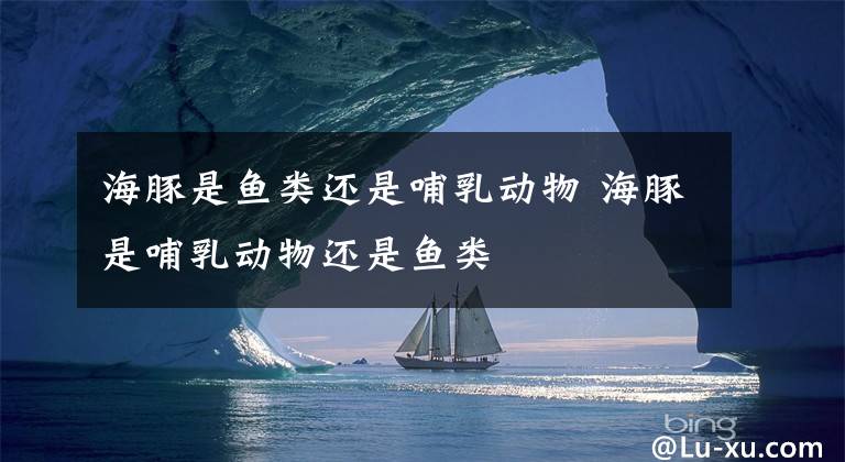 海豚是鱼类还是哺乳动物 海豚是哺乳动物还是鱼类
