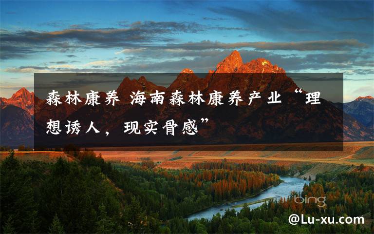 森林康养 海南森林康养产业“理想诱人，现实骨感”