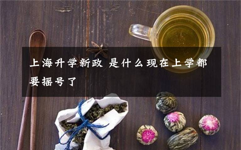 上海升学新政 是什么现在上学都要摇号了