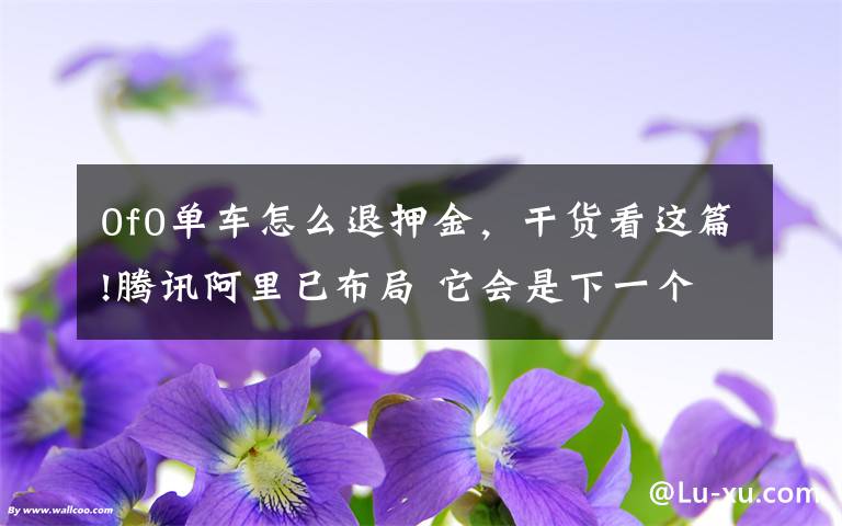 0f0单车怎么退押金，干货看这篇!腾讯阿里已布局 它会是下一个三江购物？