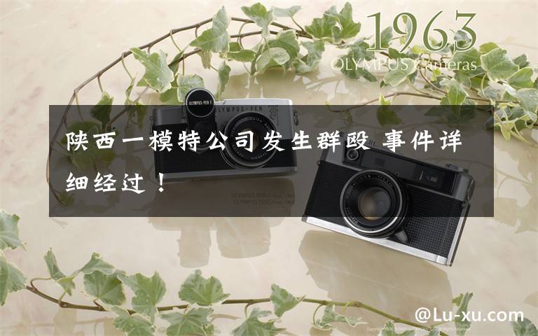 陕西一模特公司发生群殴 事件详细经过！