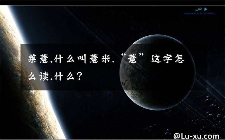 莱薏,什么叫薏米.“薏”这字怎么读.什么？