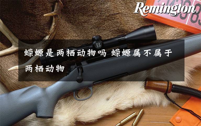 蝾螈是两栖动物吗 蝾螈属不属于两栖动物