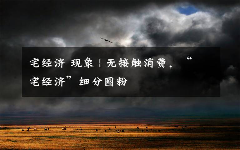 宅经济 现象 | 无接触消费，“宅经济”细分圈粉