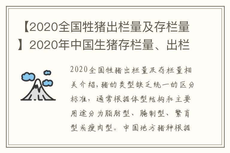 【2020全国牲猪出栏量及存栏量】2020年中国生猪存栏量、出栏量及生猪养殖重点龙头企业对比「图」