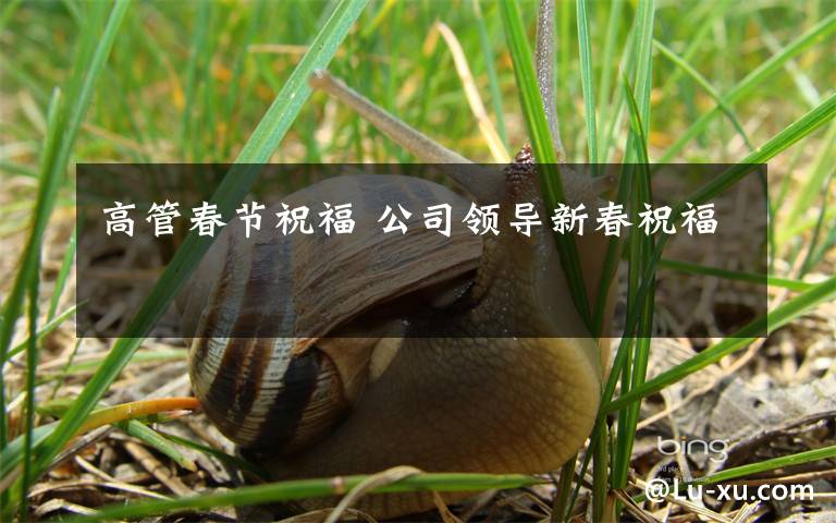 高管春节祝福 公司领导新春祝福