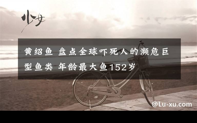 黄绍鱼 盘点全球吓死人的濒危巨型鱼类 年龄最大鱼152岁