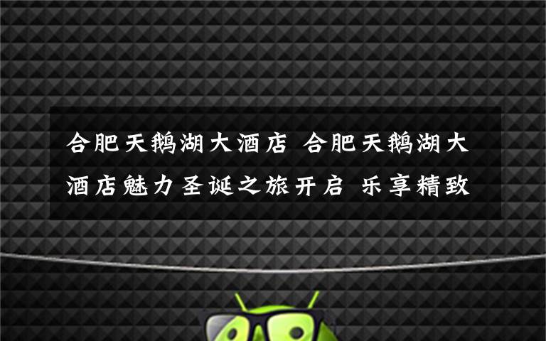 合肥天鹅湖大酒店 合肥天鹅湖大酒店魅力圣诞之旅开启 乐享精致美食