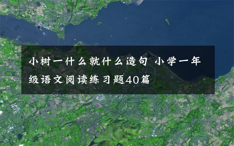 小树一什么就什么造句 小学一年级语文阅读练习题40篇