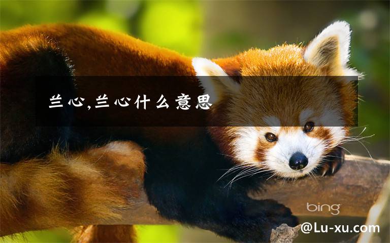 兰心,兰心什么意思