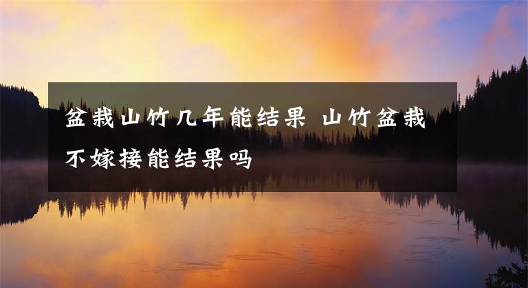 盆栽山竹几年能结果 山竹盆栽不嫁接能结果吗