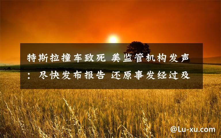 特斯拉撞车致死 美监管机构发声：尽快发布报告 还原事发经过及背后真相！