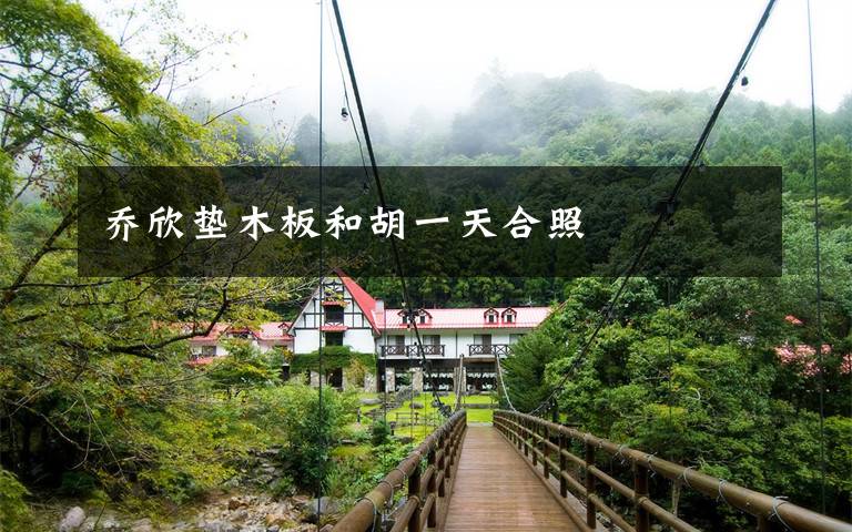 乔欣垫木板和胡一天合照