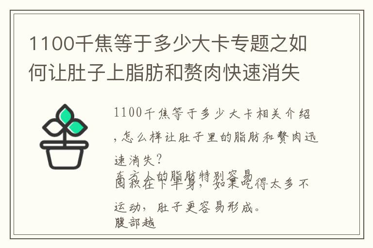 1100千焦等于多少大卡专题之如何让肚子上脂肪和赘肉快速消失？