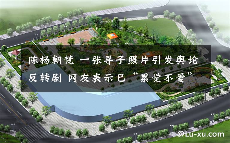 陈杨朝梵 一张寻子照片引发舆论反转剧 网友表示已“累觉不爱”