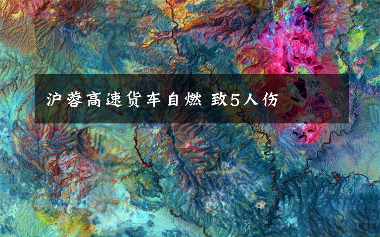 沪蓉高速货车自燃 致5人伤