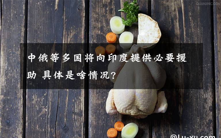 中俄等多国将向印度提供必要援助 具体是啥情况?