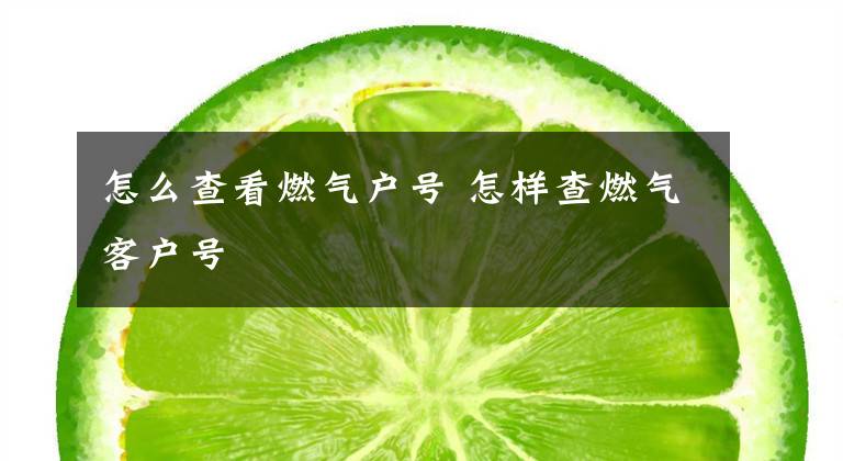 怎么查看燃气户号 怎样查燃气客户号