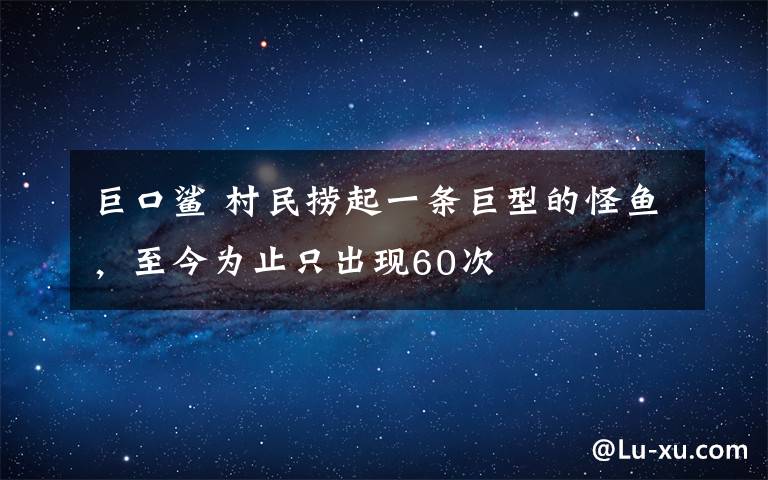 巨口鲨 村民捞起一条巨型的怪鱼，至今为止只出现60次
