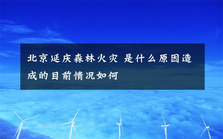 北京延庆森林火灾 是什么原因造成的目前情况如何