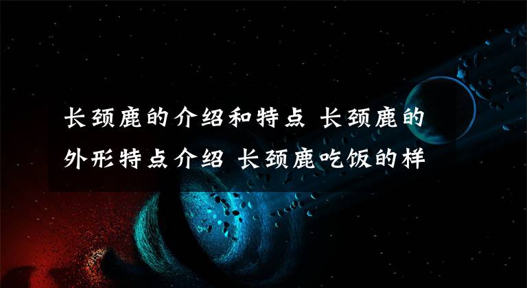 长颈鹿的介绍和特点 长颈鹿的外形特点介绍 长颈鹿吃饭的样子