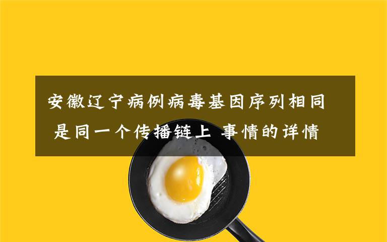 安徽辽宁病例病毒基因序列相同 是同一个传播链上 事情的详情始末是怎么样了！