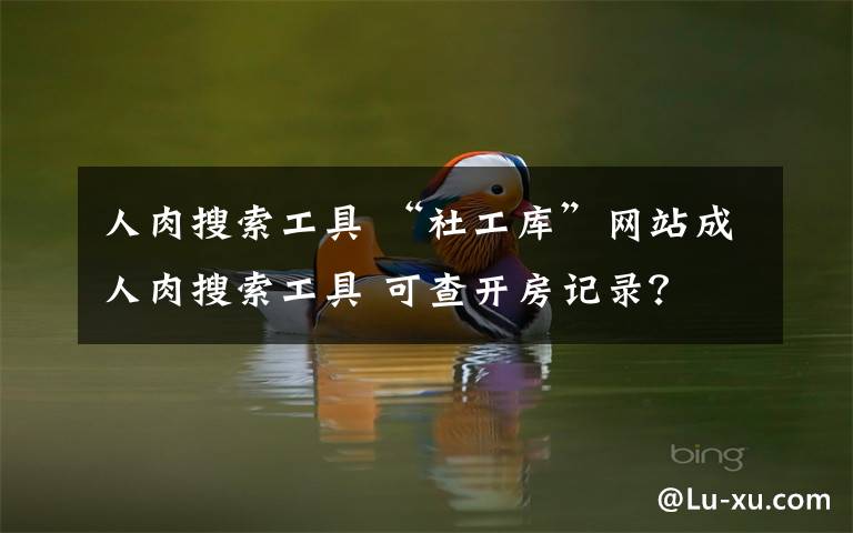 人肉搜索工具 “社工库”网站成人肉搜索工具 可查开房记录？