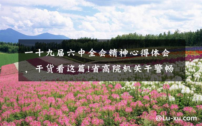 一十九届六中全会精神心得体会，干货看这篇!省高院机关干警畅谈学习六中全会精神心得体会