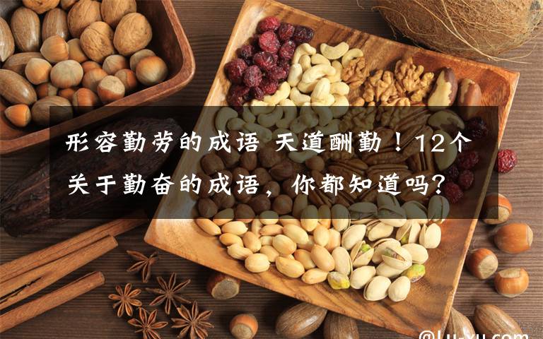 形容勤劳的成语 天道酬勤！12个关于勤奋的成语，你都知道吗？