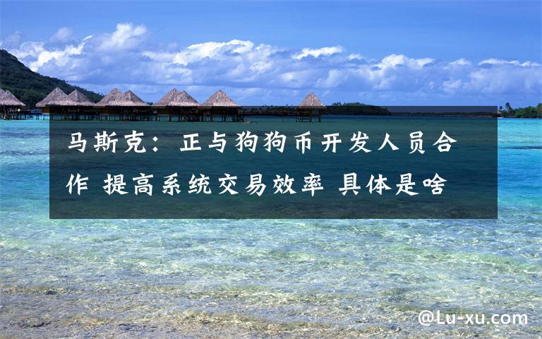 马斯克：正与狗狗币开发人员合作 提高系统交易效率 具体是啥情况?