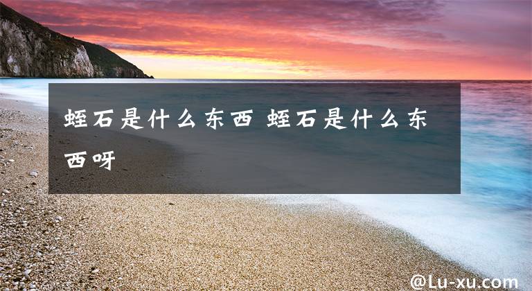蛭石是什么东西 蛭石是什么东西呀