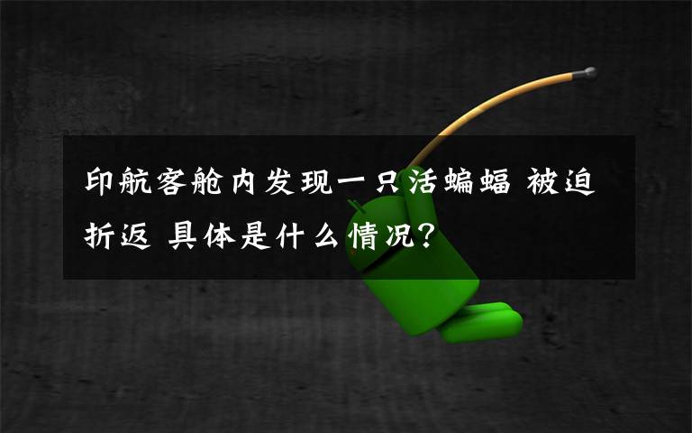 印航客舱内发现一只活蝙蝠 被迫折返 具体是什么情况？