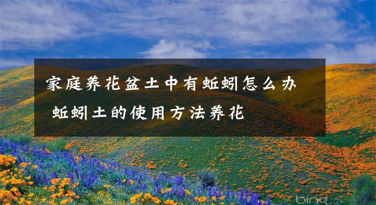 家庭养花盆土中有蚯蚓怎么办 蚯蚓土的使用方法养花