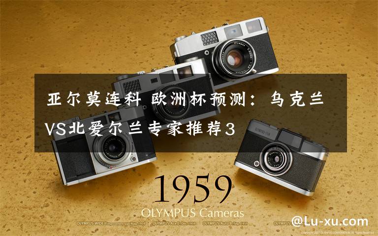 亚尔莫连科 欧洲杯预测：乌克兰VS北爱尔兰专家推荐3