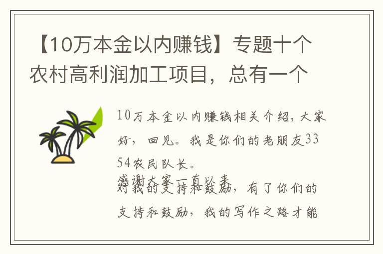 【10万本金以内赚钱】专题十个农村高利润加工项目，总有一个适合你，想赚的快来学