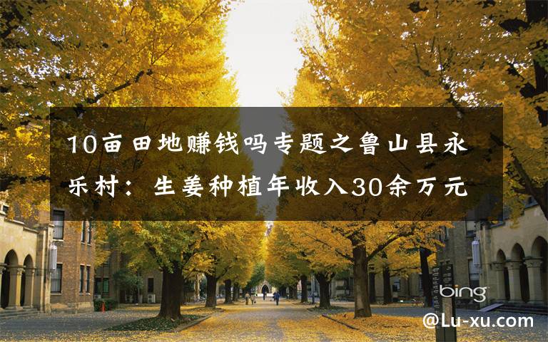 10亩田地赚钱吗专题之鲁山县永乐村：生姜种植年收入30余万元