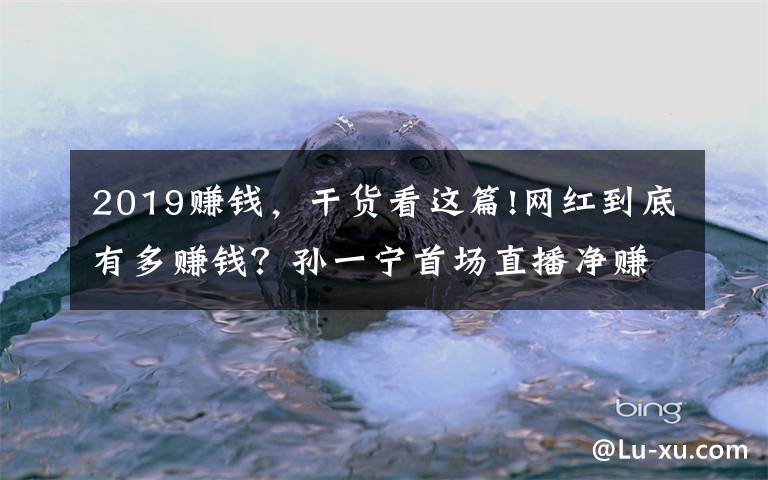 2019赚钱，干货看这篇!网红到底有多赚钱？孙一宁首场直播净赚70万，温婉3年赚5000万