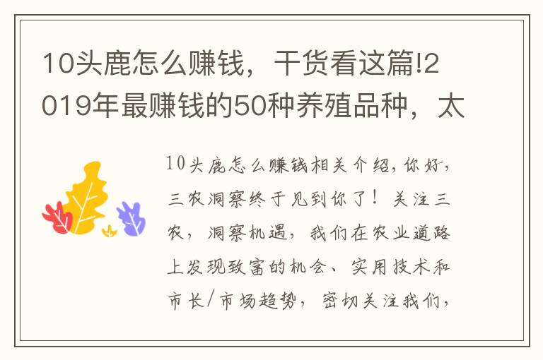 10头鹿怎么赚钱，干货看这篇!2019年最赚钱的50种养殖品种，太全了