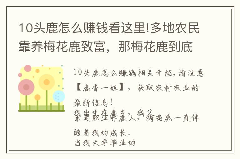 10头鹿怎么赚钱看这里!多地农民靠养梅花鹿致富，那梅花鹿到底怎么养最挣钱？