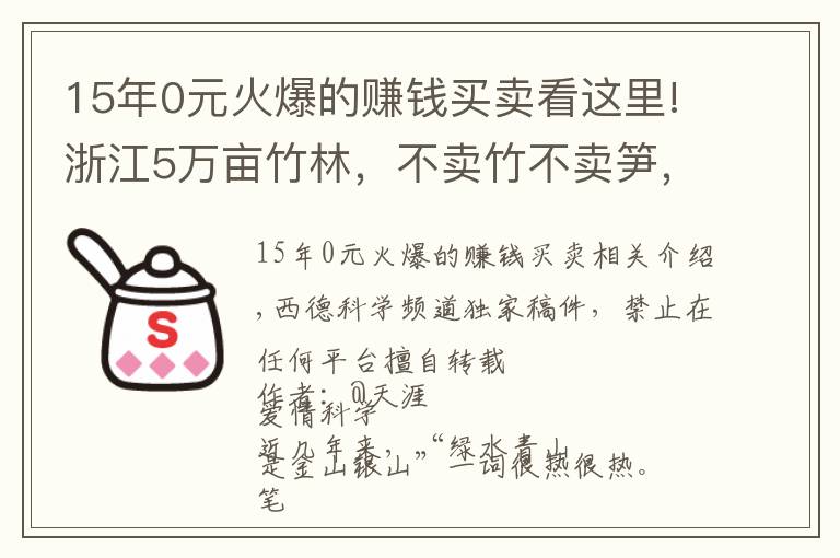 15年0元火爆的赚钱买卖看这里!浙江5万亩竹林，不卖竹不卖笋，老板可每年躺赚70万，是骗局吗？