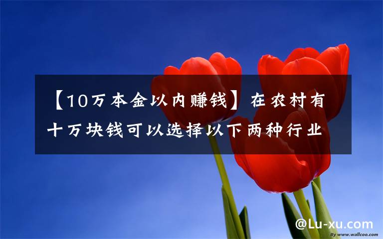 【10万本金以内赚钱】在农村有十万块钱可以选择以下两种行业，比打工强还能致富