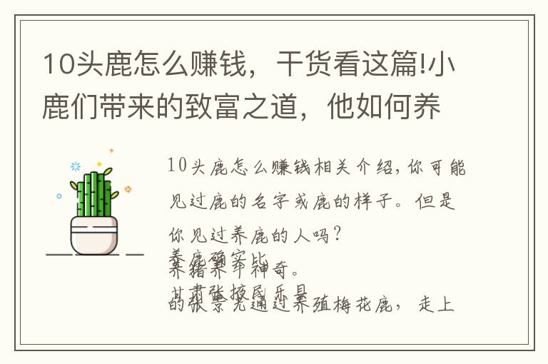 10头鹿怎么赚钱，干货看这篇!小鹿们带来的致富之道，他如何养鹿养出年赚近60万？