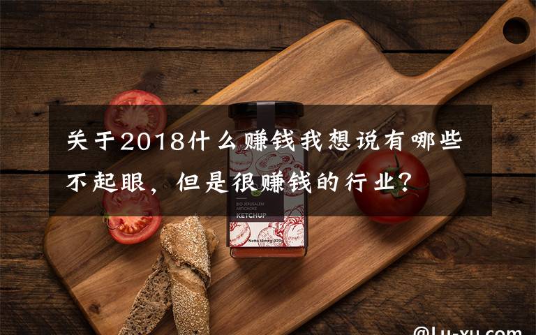 关于2018什么赚钱我想说有哪些不起眼，但是很赚钱的行业？