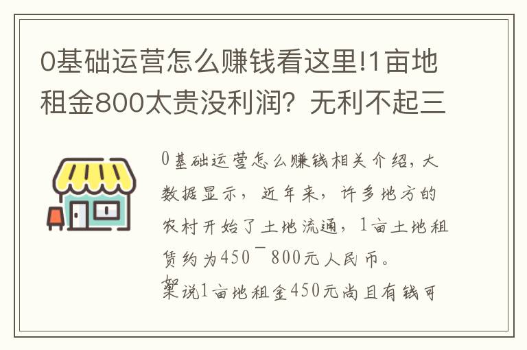 0基础运营怎么赚钱看这里!1亩地租金800太贵没利润？无利不起三分早，赚钱靠3个“法宝”