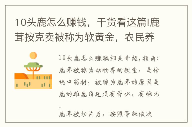 10头鹿怎么赚钱，干货看这篇!鹿茸按克卖被称为软黄金，农民养殖20头梅花鹿，一年能挣多少钱