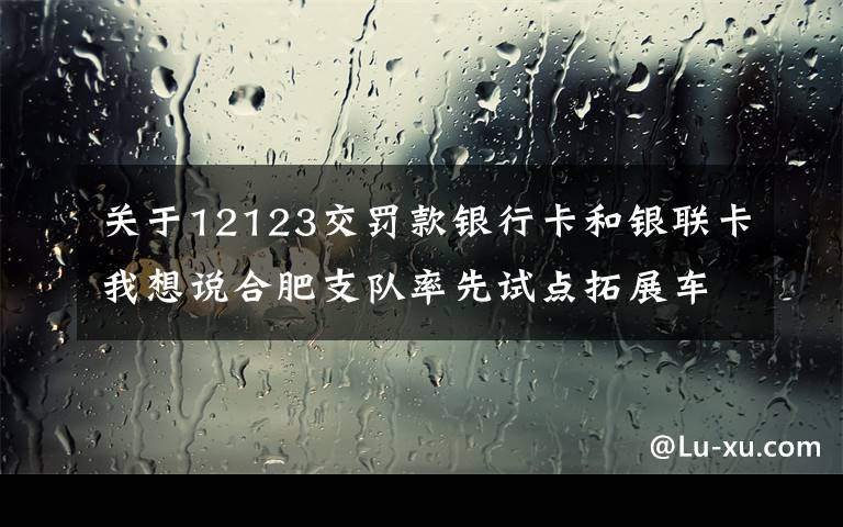 关于12123交罚款银行卡和银联卡我想说合肥支队率先试点拓展车驾管工本费、公安交管罚没款网上支付功能