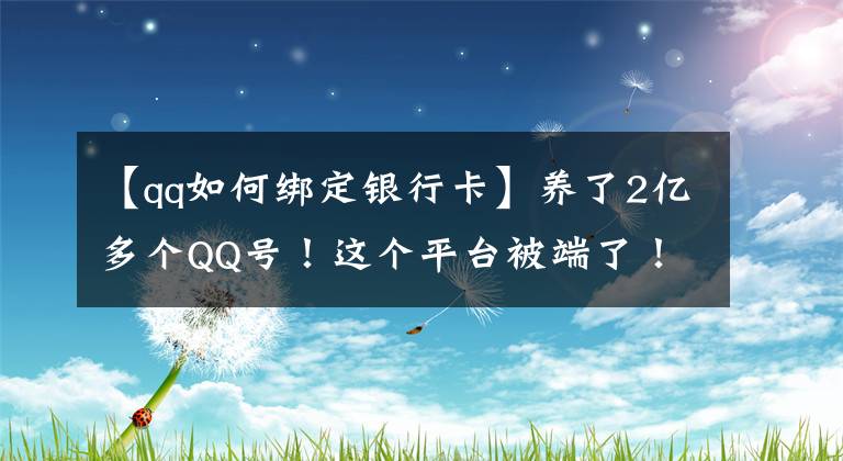 【qq如何绑定银行卡】养了2亿多个QQ号！这个平台被端了！