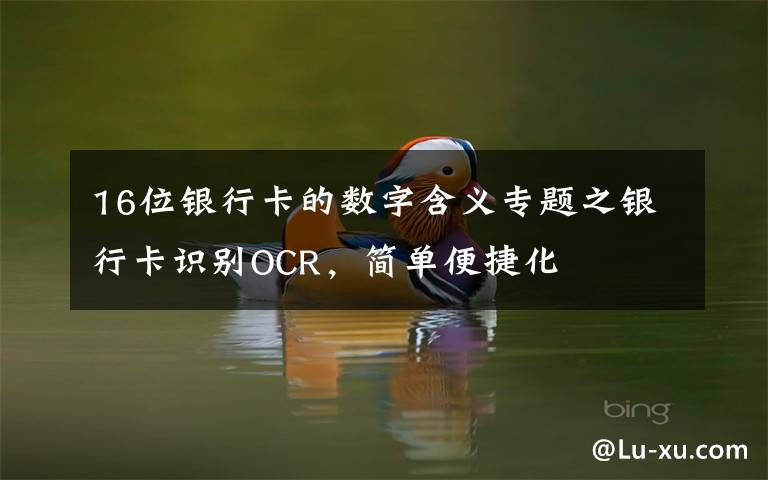 16位银行卡的数字含义专题之银行卡识别OCR，简单便捷化