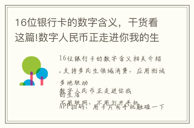 16位银行卡的数字含义，干货看这篇!数字人民币正走进你我的生活